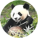 Photo de profil de Céline